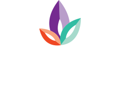 Provella Logo