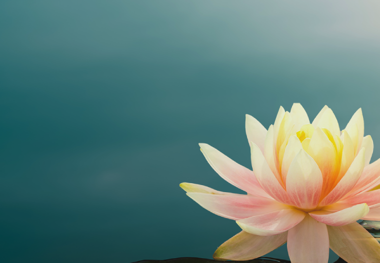home-banner-bg